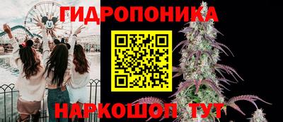 apvp Гагарин