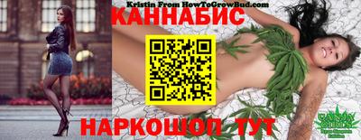 мдпв Гатчина